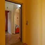 Albicocca Apartment